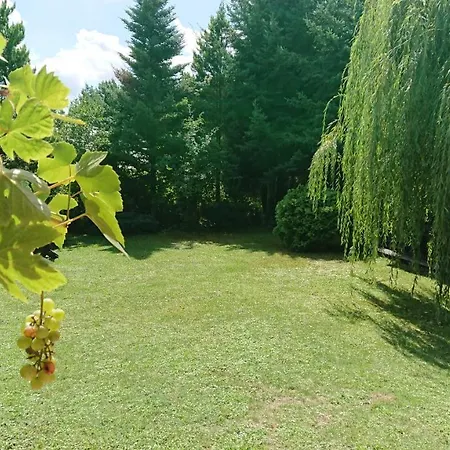 Vila Dom Pod Lipa Bodzanow (Wieliczka)